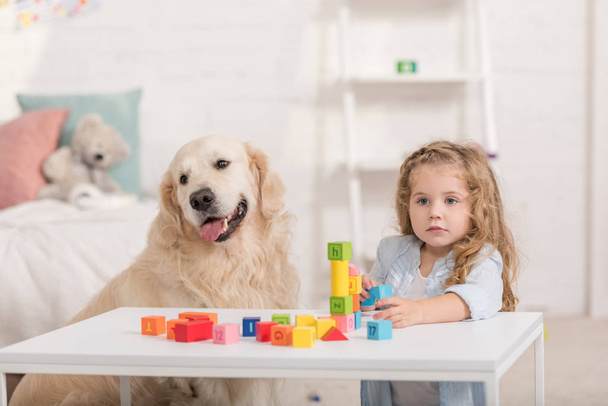 adorable kid playing with educational cubes, cute golden retriever sitting near table in children room - Photo, image