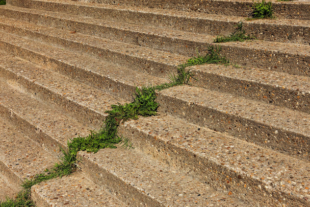 Una vieja escalera de piedra al aire libre. Piedra, escalones de cemento de viejas escaleras con rastros de intemperie y destrucción. Escalera de piedra vintage, antiguos escalones rotos. Enfoque selectivo
 - Foto, imagen