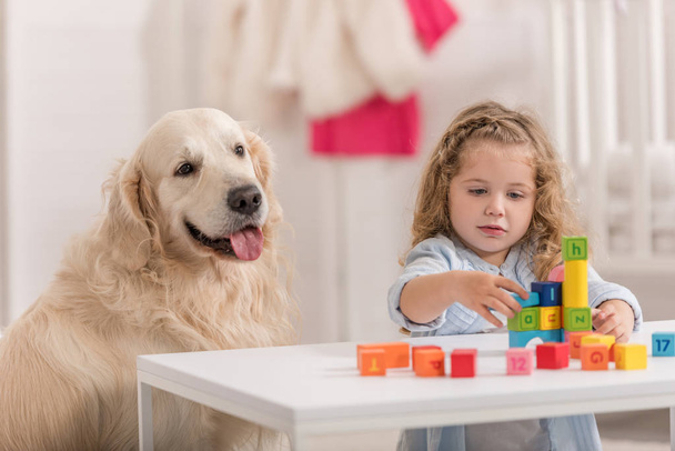 adorable child playing with educational cubes, golden retriever sitting near table in children room - Photo, Image