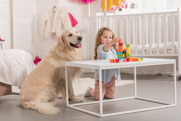 adorable preescolar jugando con cubos educativos, golden retriever sentado cerca de la mesa en la habitación de los niños
 - Foto, Imagen