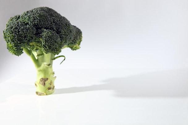 eenzame broccoli. - Foto, afbeelding