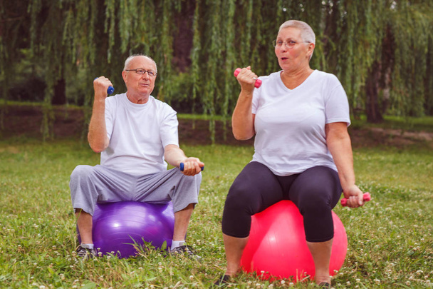 Senior exercise - Smiling senior couple holding dumbbells while sitting on exercise ball in park - Photo, Image