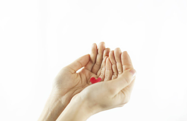 Hands of a girl holding a red heart on a white isolated background. Concept of lovers day. - Zdjęcie, obraz