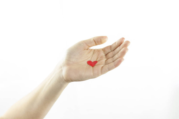 Manos de una niña sosteniendo un corazón rojo sobre un fondo blanco aislado. Concepto de día de los amantes
. - Foto, Imagen