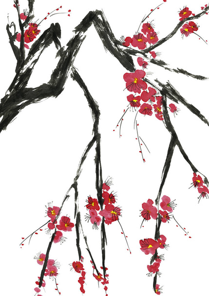 A branch of a blossoming tree. Pink and red stylized flowers of plum mei, wild apricots and sakura . Watercolor and ink illustration in style sumi-e, u-sin. Oriental traditional painting.   - Foto, Imagem