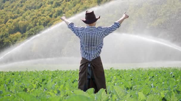 Vista posteriore dell'agricoltore in piedi in piantagione e alza le mani
. - Filmati, video