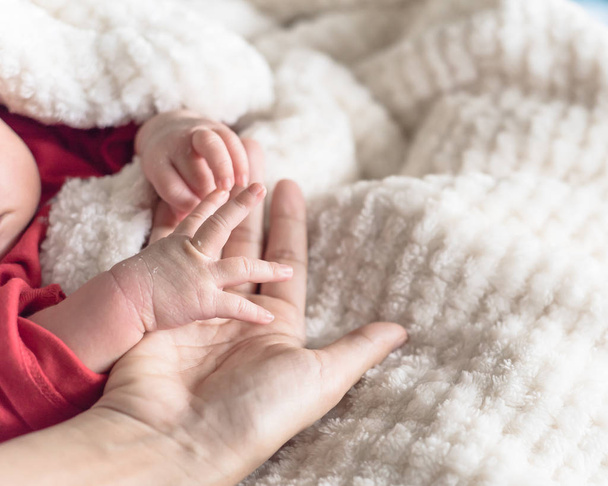 Közelkép anya baba apró kézzel a tenyerét. Szeretet, a meleg, a gondozás és a biztonságos koncepció fénykép. Új született baba kéz kényelmes fehér takaró háttérrel - Fotó, kép