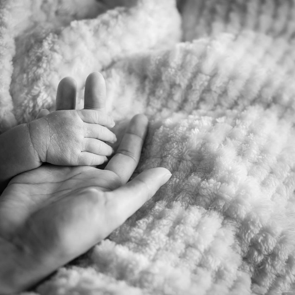 Vintage sesi yakın çekim anne bebek minik elini avucunun içinde tutuyor. Sevgi, sıcak, bakım ve güvenli konsept fotoğraf. Yeni doğan bebek el ile rahat beyaz battaniye arka plan - Fotoğraf, Görsel