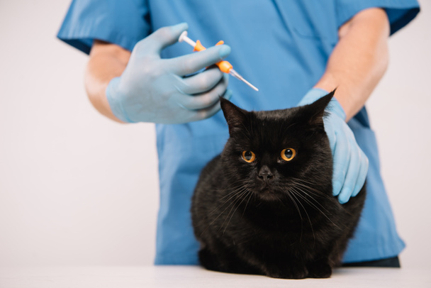 abgeschnittene Ansicht des Tierarztes, der schwarze Katze hält und Mikrochipping-Verfahren isoliert auf grau macht - Foto, Bild