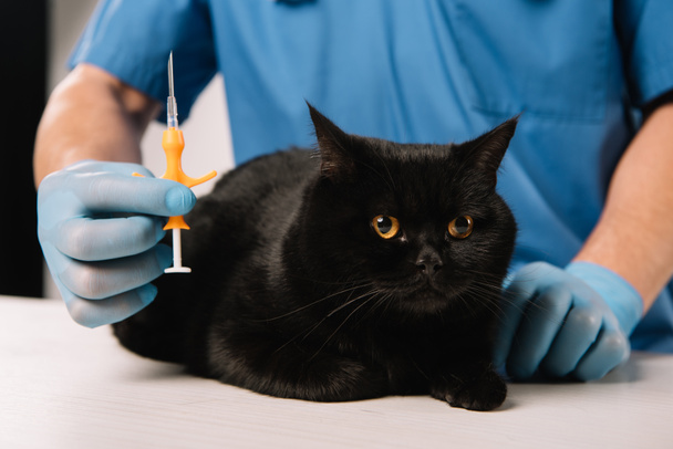 eläinlääkärin kädessä olevan ruiskun selektiivinen tarkennus lähellä mustaa kissaa ennen mikrosirua
 - Valokuva, kuva