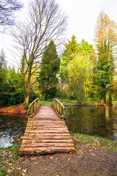 Άνετο πάρκο autumal με πεσμένα φύλλα και ξύλινη γέφυρα - Φωτογραφία, εικόνα