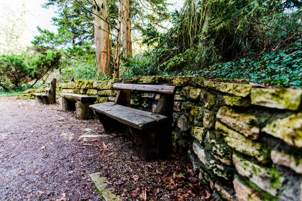 Wooden benches at ruined wall in park - Foto, immagini