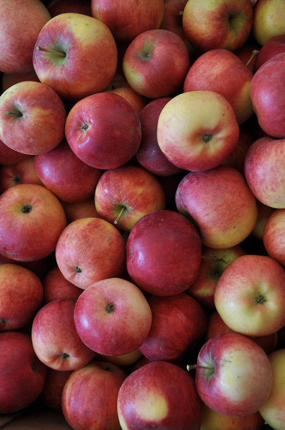 Pozadí z shromážděné jablko s červenou barvu plodů - Fotografie, Obrázek