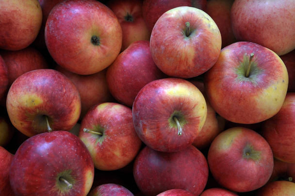 収集したリンゴ果実の赤い色と背景 - 写真・画像