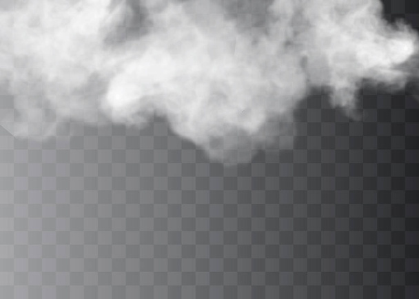 Przezroczysty efekt specjalny wyróżnia się mgłą lub dymem. Wektor białej chmury, mgła lub smog. - Wektor, obraz