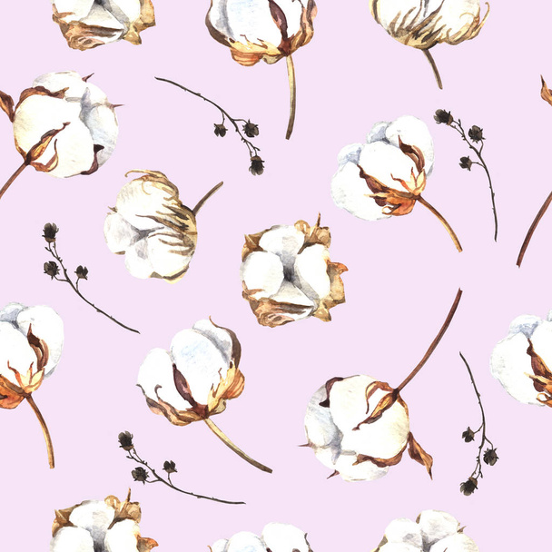 Watercolor pattern with cotton flowers - Фото, зображення
