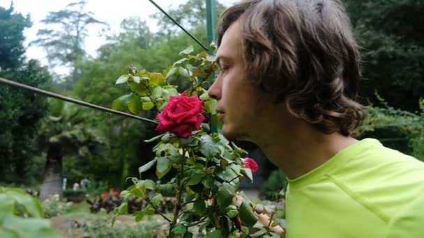 El hombre gracioso está oliendo una gran rosa roja en un árbol, cámara lenta
 - Metraje, vídeo