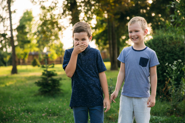 Twee kinderen jongens vrienden wandelen in het park op een zonnige zomerdag. Broers - Foto, afbeelding