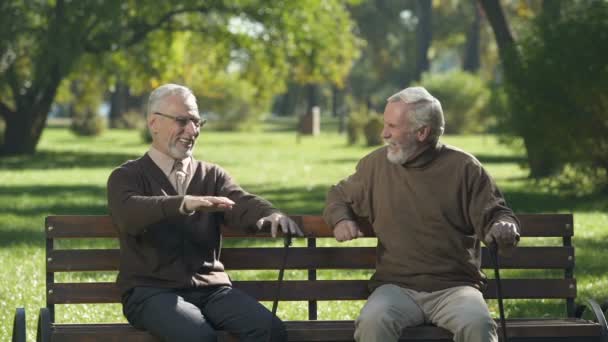 Senioren lachen und erinnern sich an ihren Freund, gute vergangene Jahre, Erinnerungen - Filmmaterial, Video