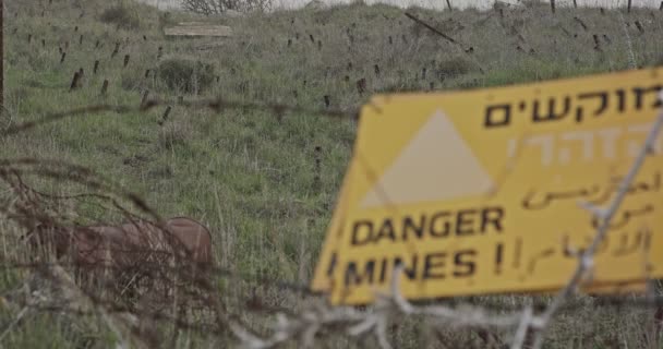Varovné znamení minového pole v Golanských výšinách na hranici Sýrie s Izraelem - Záběry, video