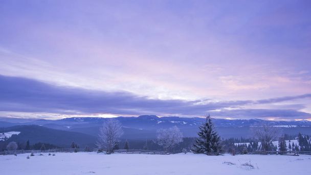 scenery winter in mountains, early morning violet sky and trees, nature photography - Φωτογραφία, εικόνα