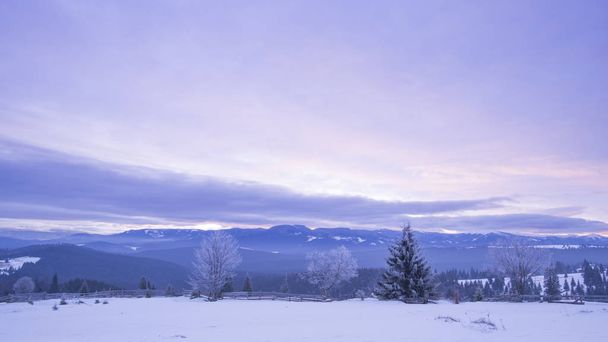 winter in mountains, sunrise violet sky and trees, nature photography - Φωτογραφία, εικόνα