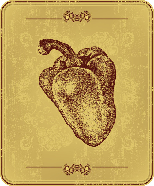 Vintage menu with bell peppers, hand-drawing. Vector illustratio - Vector, imagen