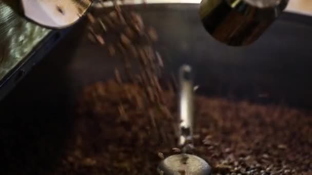 Coffee Processing. Roasted Beans In Cooling Machine Closeup - Πλάνα, βίντεο