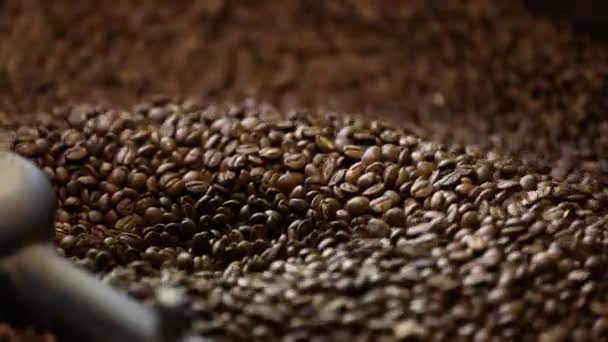 Coffee Production. Brown Beans Roasting In Machine Closeup - Filmati, video