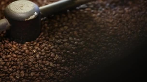 Παραγωγή καφέ. Καφετιά φασόλια καβούρδισμα με μηχανή Closeup - Πλάνα, βίντεο