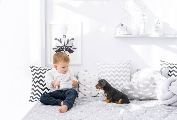 Little baby boy sit and play on the bed with dachshund puppy. - Фото, зображення