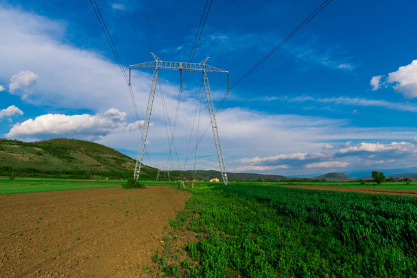 Fresh spring field with electric poles, natural background. - Zdjęcie, obraz