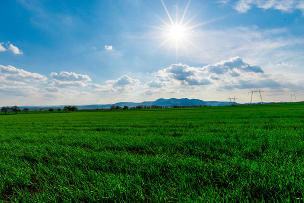 Landscape of fresh spring field with electric poles. - Zdjęcie, obraz