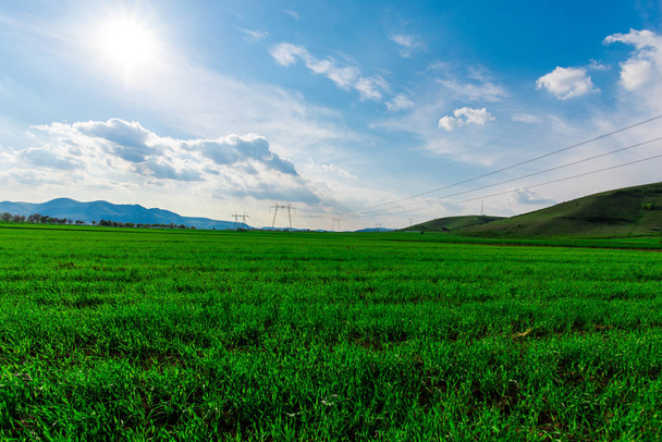 Landscape of fresh spring field with electric poles. - Foto, afbeelding