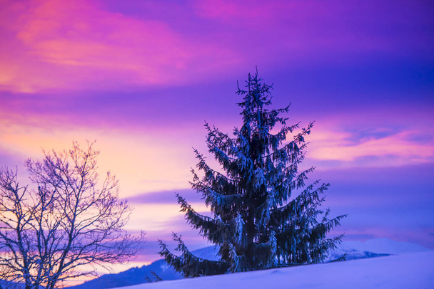 Incroyables montagnes enneigées au crépuscule, paysage hivernal
. - Photo, image