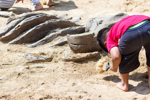 Niños aprendiendo sobre, Excavación de fósiles de dinosaurios simulación en el parque
. - Foto, Imagen
