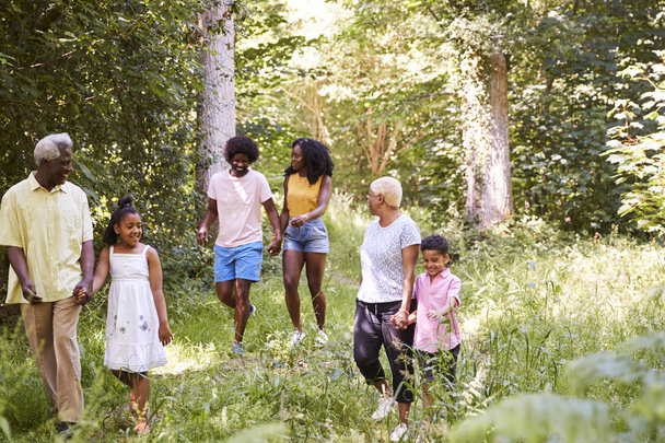 Multi generation black family walking together in a forest - Фото, зображення
