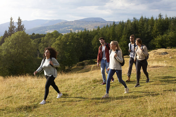 Multiethnic group of five young adult friends smiling while walking on a rural path during a mountain hike, side view - Zdjęcie, obraz