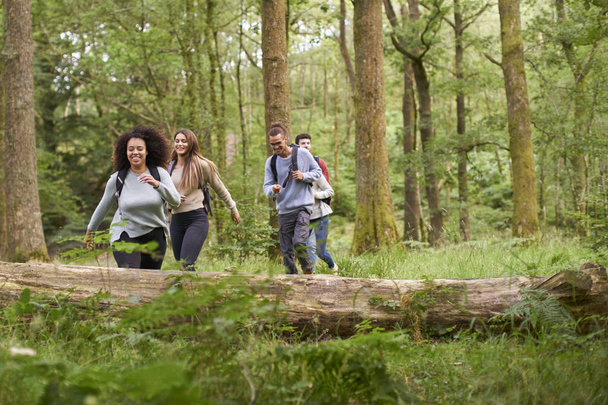 Multiethnic group of five young adult friends walking in a forest during a hike - Photo, Image