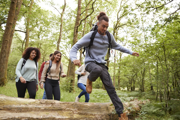 Multiethnic group of five young adult friends running in a forest and jumping over fallen tree during a hike - Foto, Bild