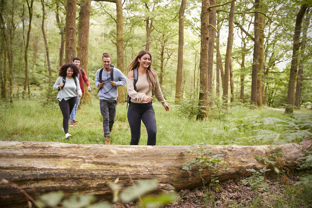 Multiethnic group of four young adult friends walking in a forest during a hike, front view - Foto, immagini