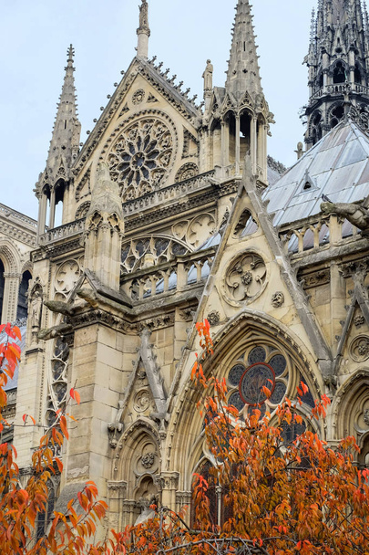  Notre Dame de Paris Cathedral, most beautiful Cathedral in Parisl. France. - Photo, Image