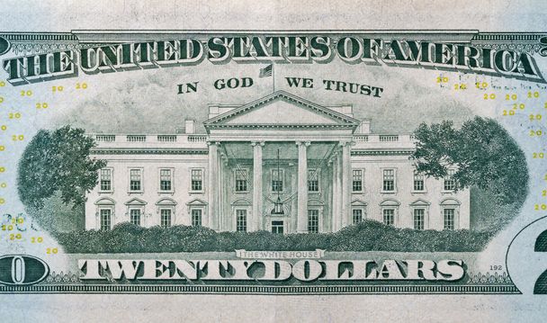 achterkant van twintig dollar bill - Foto, afbeelding