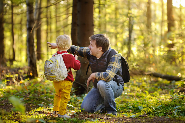 Father and his little son walking during the hiking activities in forest at sunset. Family leisure time - Foto, immagini