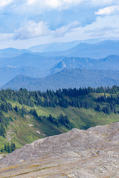 view of mountains and lush forests near mount rainier - Photo, Image