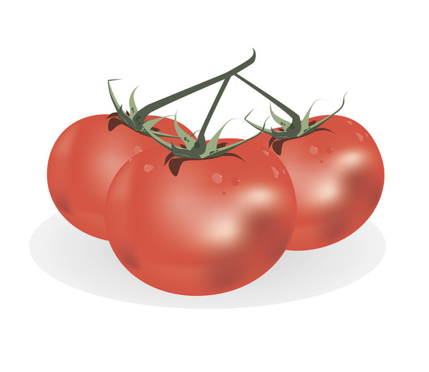 red tomato - Vector, Image