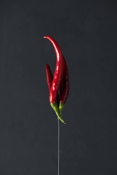 closeup of a bunch of red chili peppers hanging upside down from a nylon string, against a dark gray background - Photo, Image