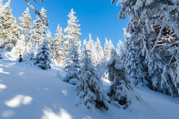 Amazing winter landscape view - Foto, Imagen