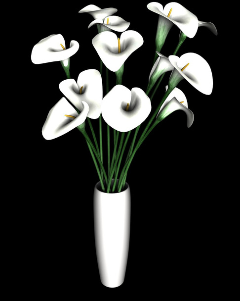 Белый калла-лилия - Фото, изображение