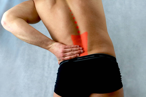 Back pain muscles column man black white  - Photo, Image